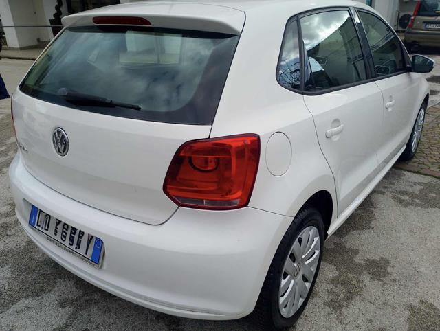 VOLKSWAGEN Polo 1.2 70 CV 5p. Comfortline