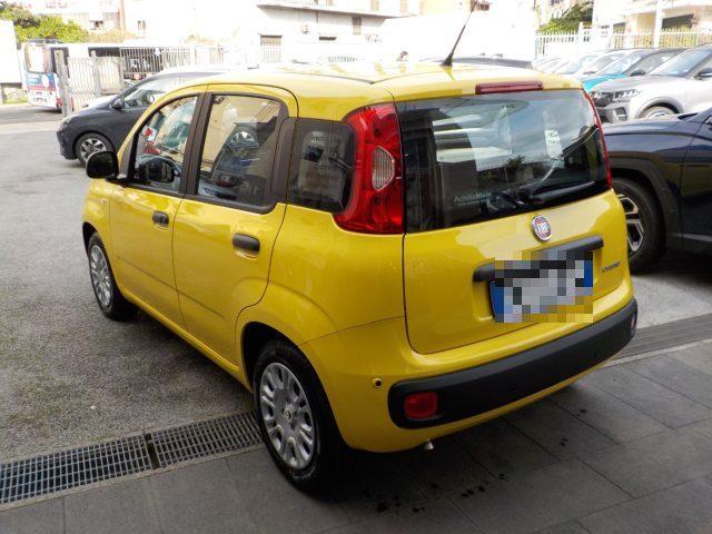 FIAT Panda MY25 - 1.0 FireFly Hybrid POP