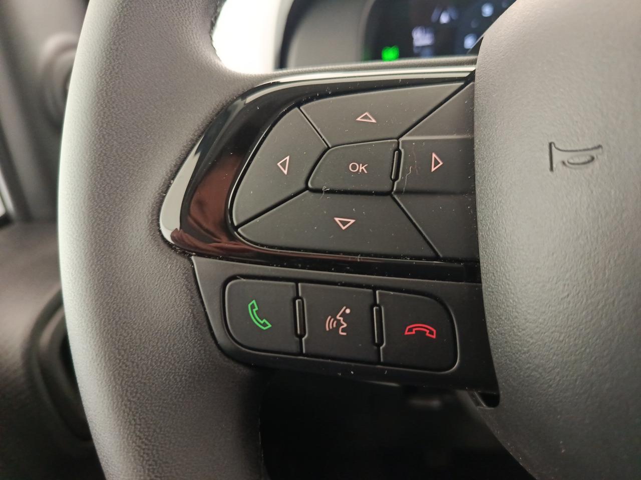 FIAT Panda Cross - Panda Cross 1.0 FireFly S&S Hybrid