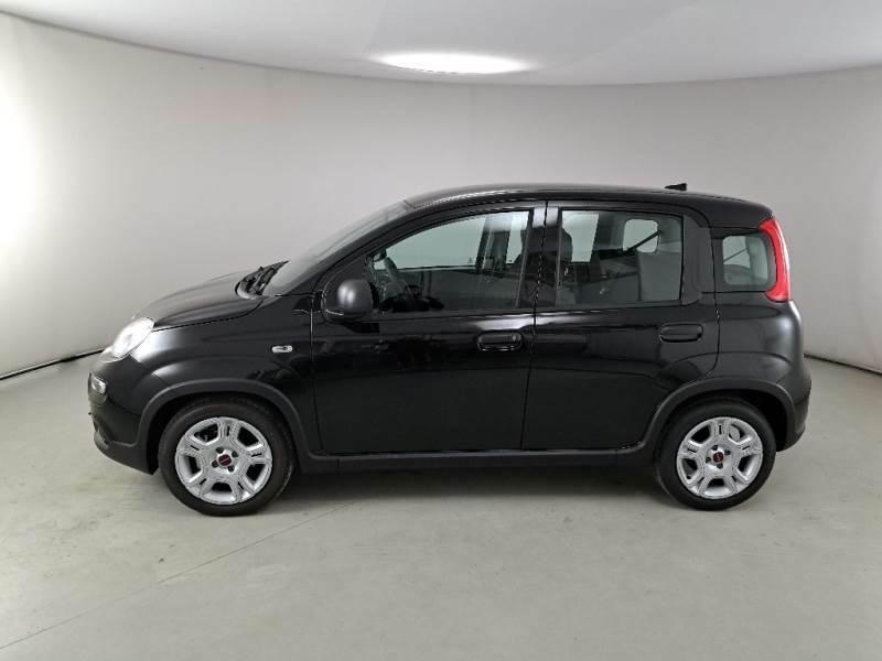 FIAT PANDA 1.0 FIREFLY 70 CV SES HYBRID 5 PORTE BERLINA