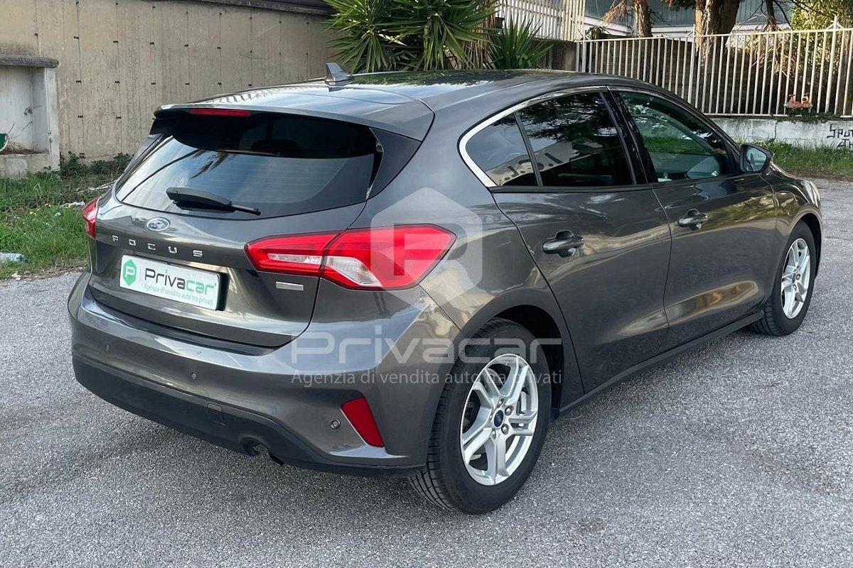 FORD Focus 1.5 EcoBlue 95 CV 5p. Business