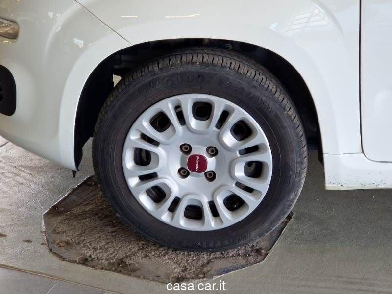 FIAT Panda Panda 1.2 Easy 3 AANI DI GARANZIA KM ILLIMITATI PARI ALLA NUOVA