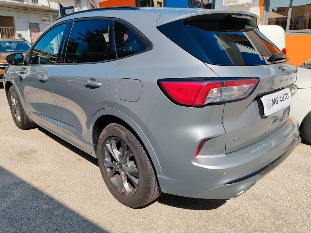 Ford Kuga 2.0 EcoBlue 190 CV aut. AWD ST-Line X