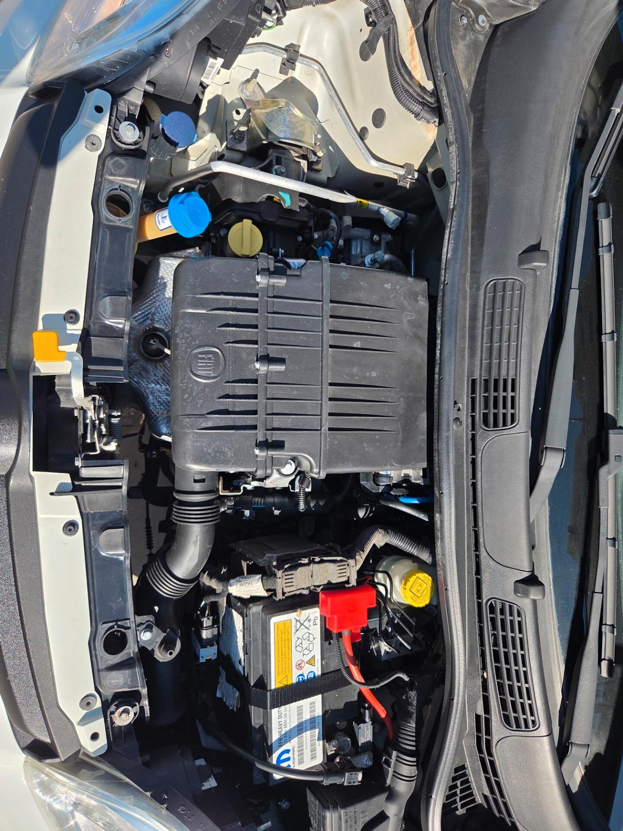 Fiat Panda 1.2 BENZINA 69 CV - 2019 PERFETTA