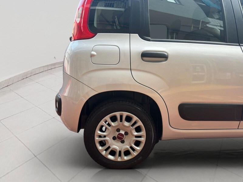 FIAT Panda 3ª serie Panda 1.2 Easy