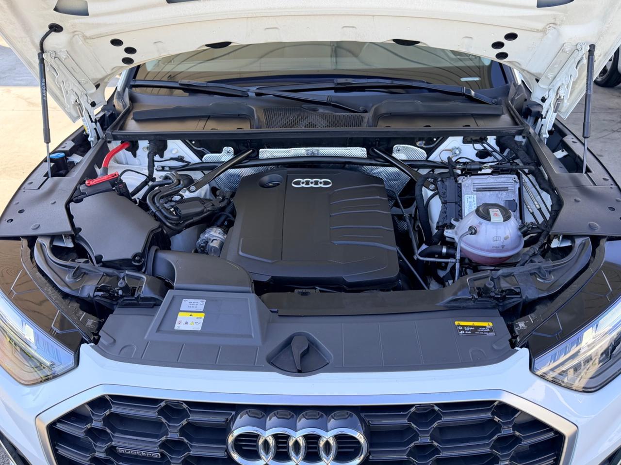 Audi Q5 40 TDI 204 CV quattro S tronic line plus tetto