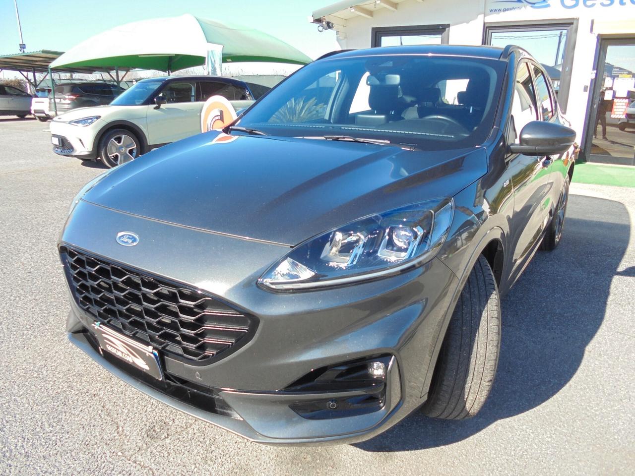 Ford Kuga 1.5 EcoBlue 120 CV 2WD ST-Line