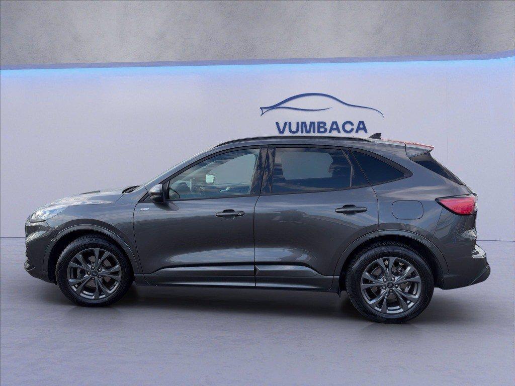 FORD Kuga 2.0 ecoblue mhev ST-Line 2wd 150cv del 2020