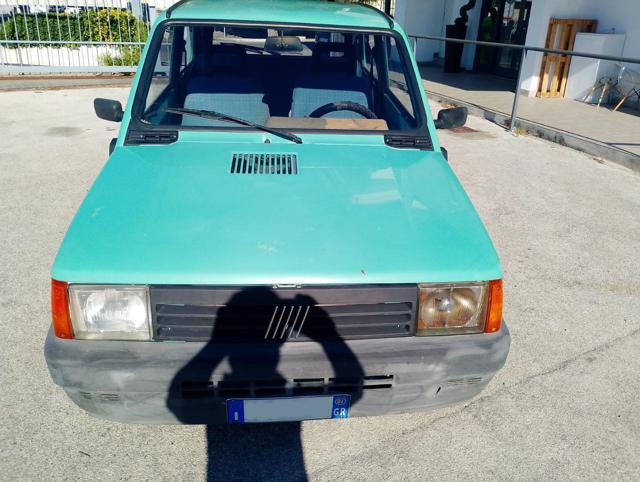 FIAT Panda 1ª serie 1100 i.e. cat Young