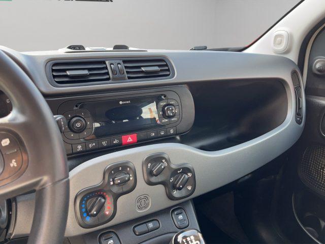 FIAT Panda 1.0 HYBRID 4 POSTI N1 AUTOCARRO