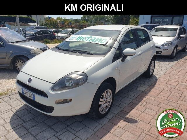 FIAT Punto 1.4 8V 5 porte Natural Power Easy