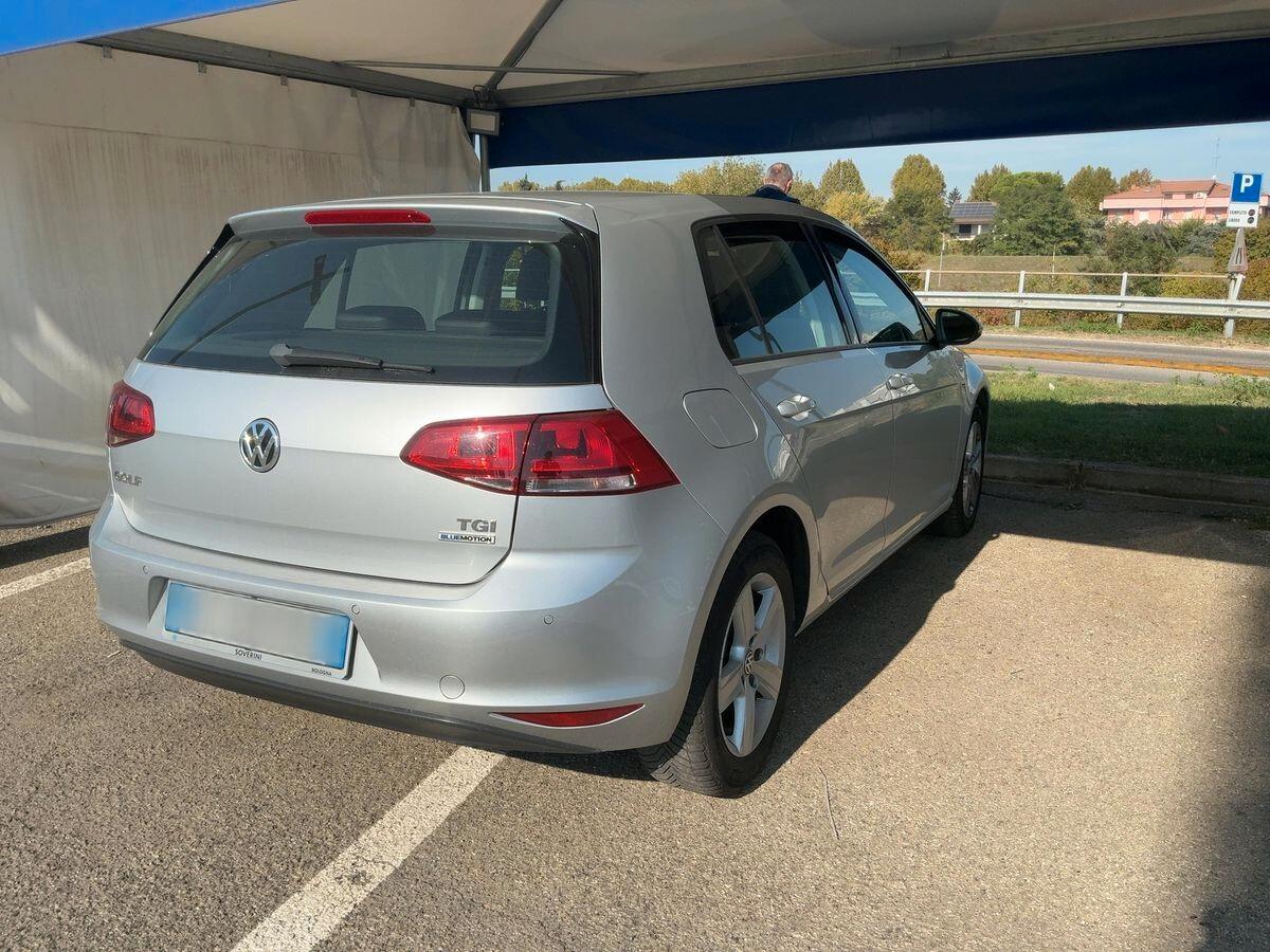 Volkswagen Golf Business 1.4 TGI DSG 5p. Highline BlueMotion