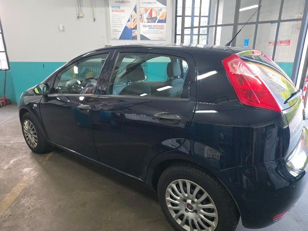 Fiat Punto 1.2 8V 5 porte Street