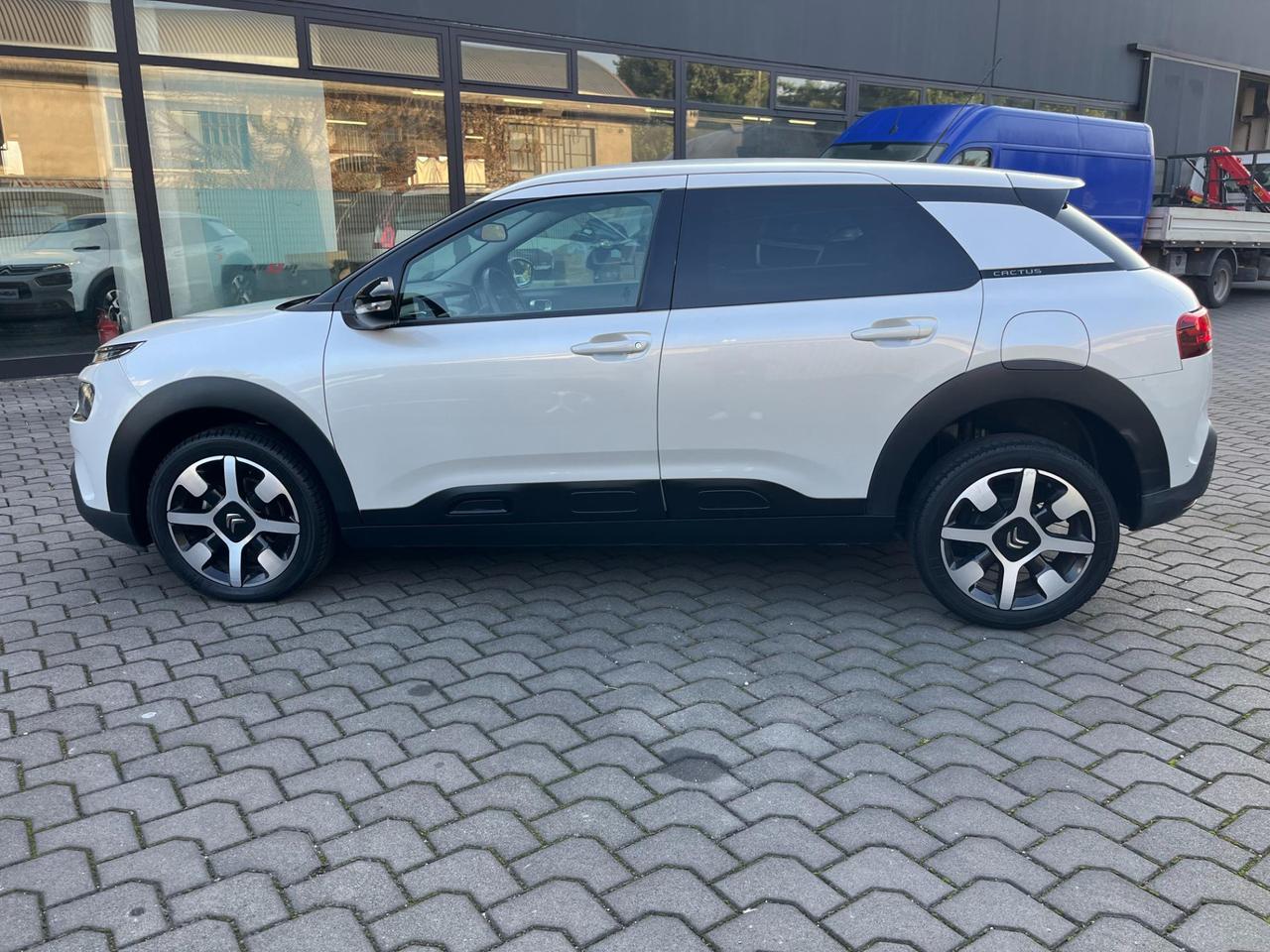 Citroen C4 Cactus 1.6 bluehdi Shine s&s 100cv