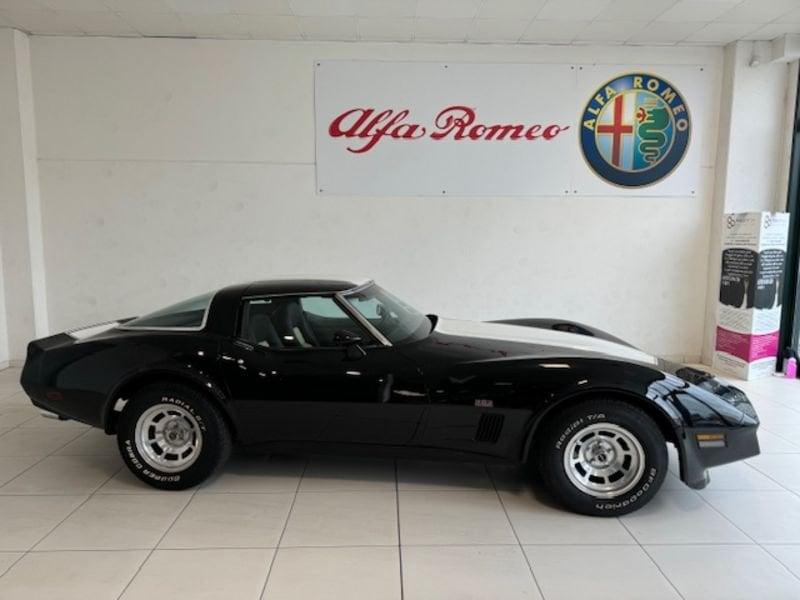 Corvette Corvette C3 Corvette 6.3 C3 Stingray Z87 350 CV 2Stroke EdelBrock