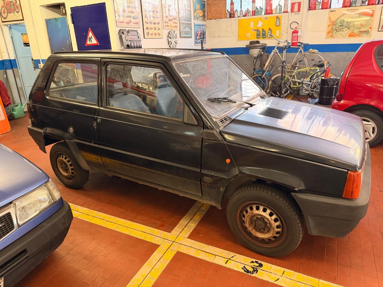 Fiat Panda 900 i.e. cat Young