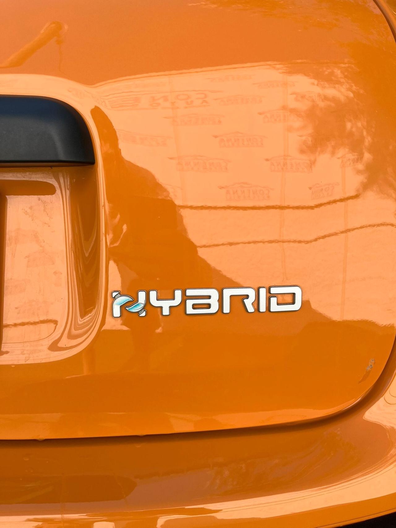 Fiat Panda 1.0 FireFly S&S Hybrid