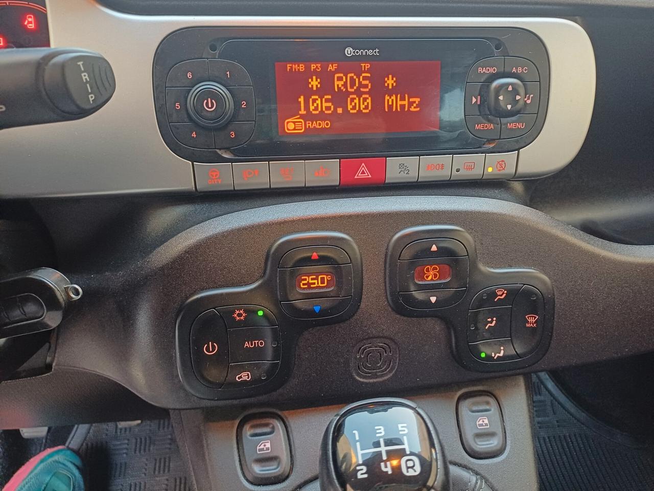 Fiat Panda Cross 1.3 MJT 95 CV S&S 4x4