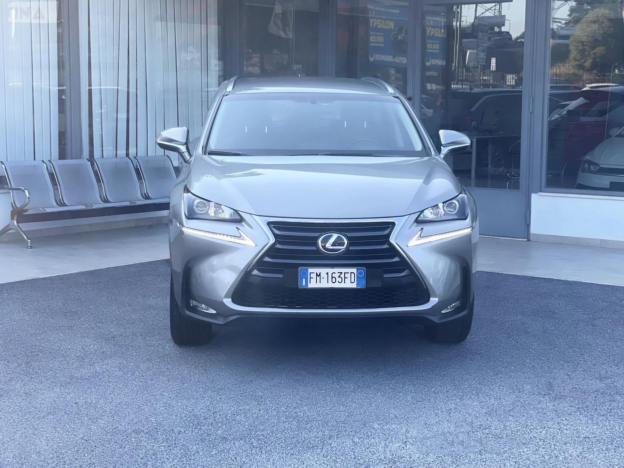 Lexus NX 300h 2.5 Hybrid 155CV 4WD E6 Automatica - 2017