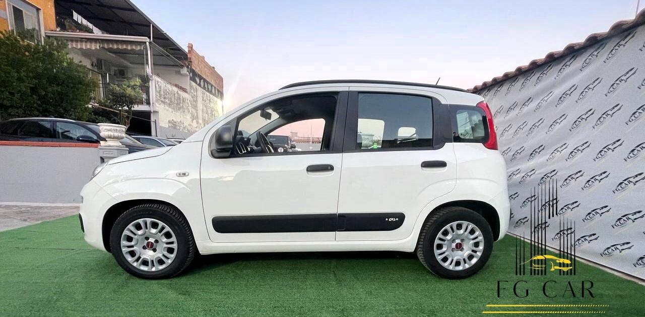 Fiat Panda 1.0 FireFly S&S Hybrid /GPL 2020