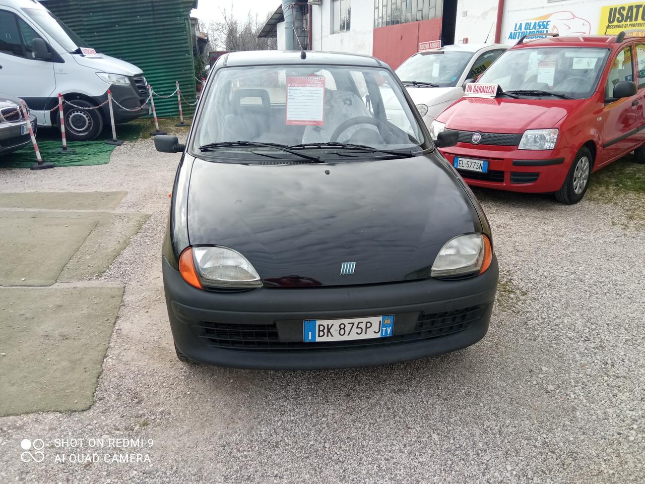 Fiat Seicento 900i cat Young