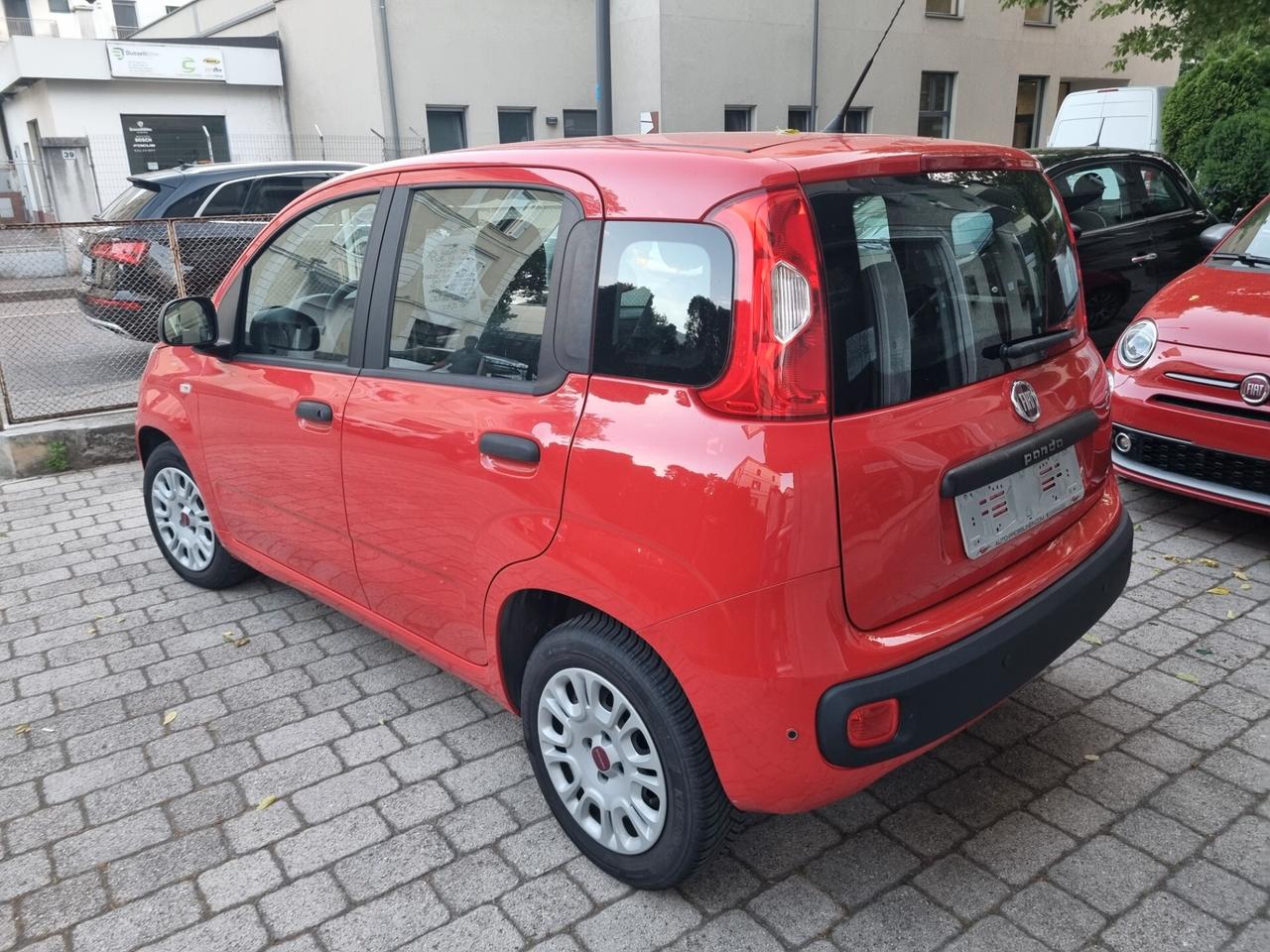 Fiat Panda 1.2 69cv anno2017 km44000 neopatentati