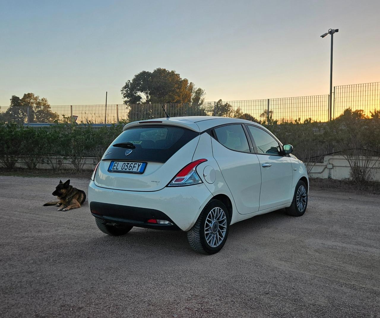 Lancia Ypsilon 1.2 69 CV 5 porte S&S Platinum