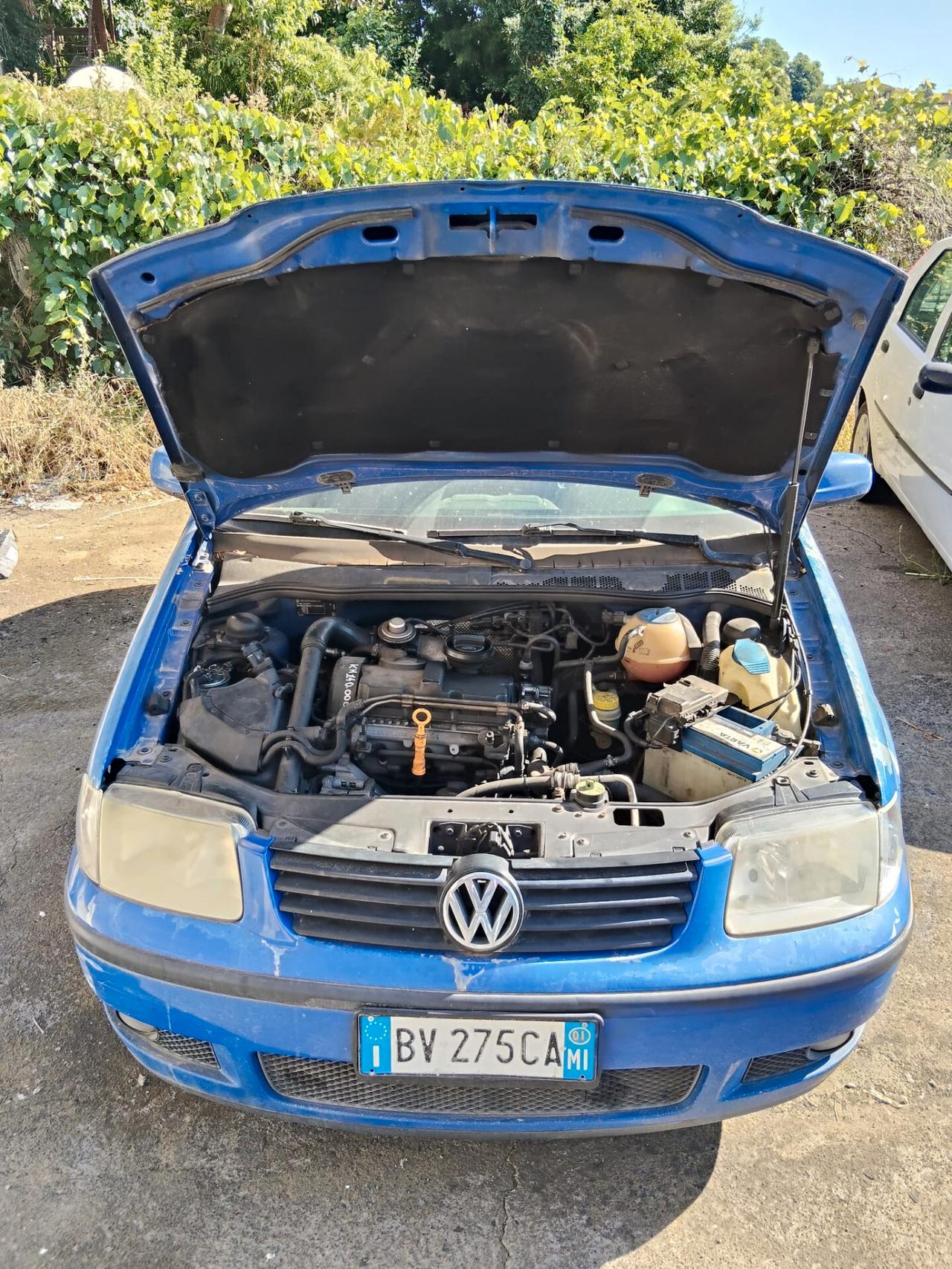 Volkswagen Polo 1.4 TDI cat 3 porte Comfortline