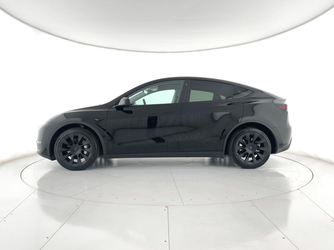TESLA Model Y Long Range Dual Motor awd + AUTOPYLOT MAX