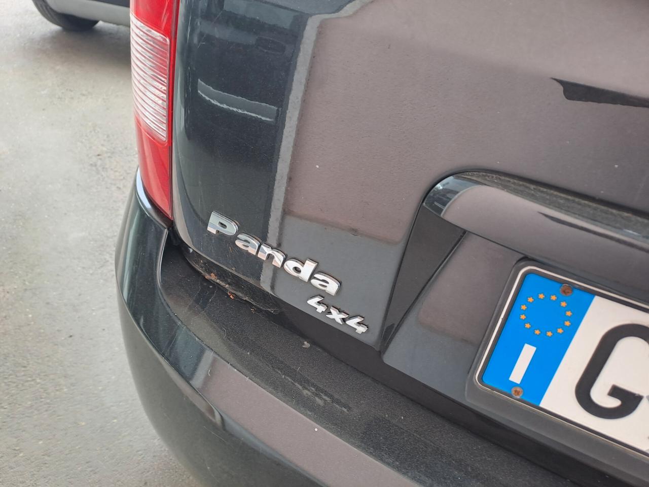 Fiat Panda 1.3 MJT 16V DPF 4x4 Climbing