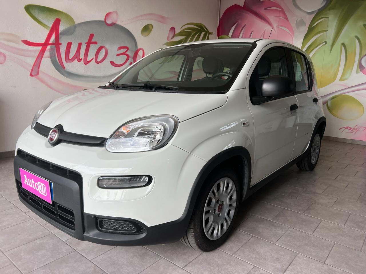 Fiat Panda Cross 1.0 FireFly S&S Hybrid