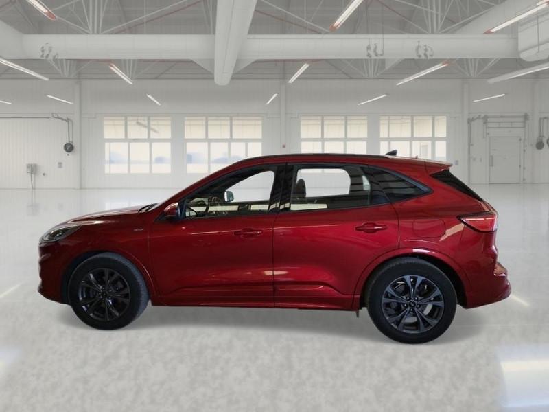 FORD KUGA 1.5 EcoBlue 120CV 2WD ST-Line Auto