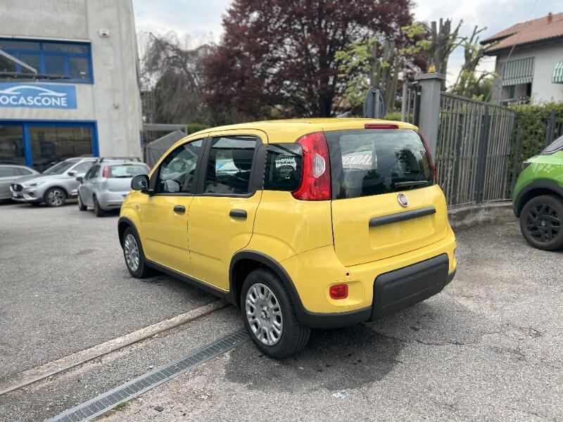 FIAT Panda 3ª serie Panda 1.0 FireFly S&S Hybr...