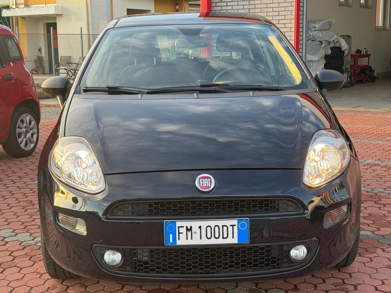 Fiat Punto 1.2 neopatentati 8V 5 porte Street