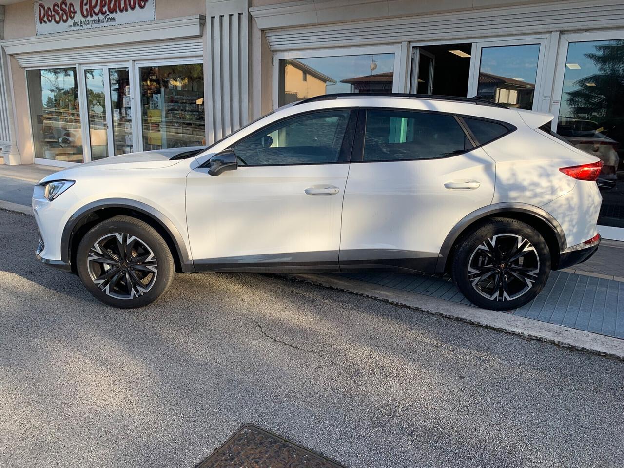 Cupra Formentor 2.0 TDI 4Drive DSG