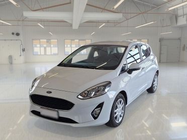 FORD FIESTA 1.5 EcoBlue 85CV Business 5 PORTE