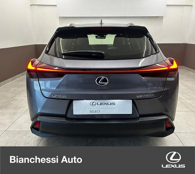 Lexus UX UX Hybrid Business