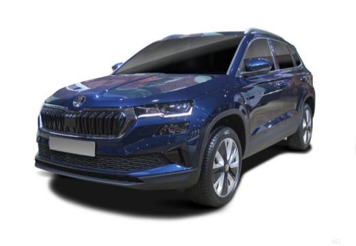 SKODA Karoq 2022 - Karoq 2.0 tdi evo Executive 115cv dsg