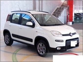 Fiat Panda 4x4"Finanziabile Senza Busta Paga"