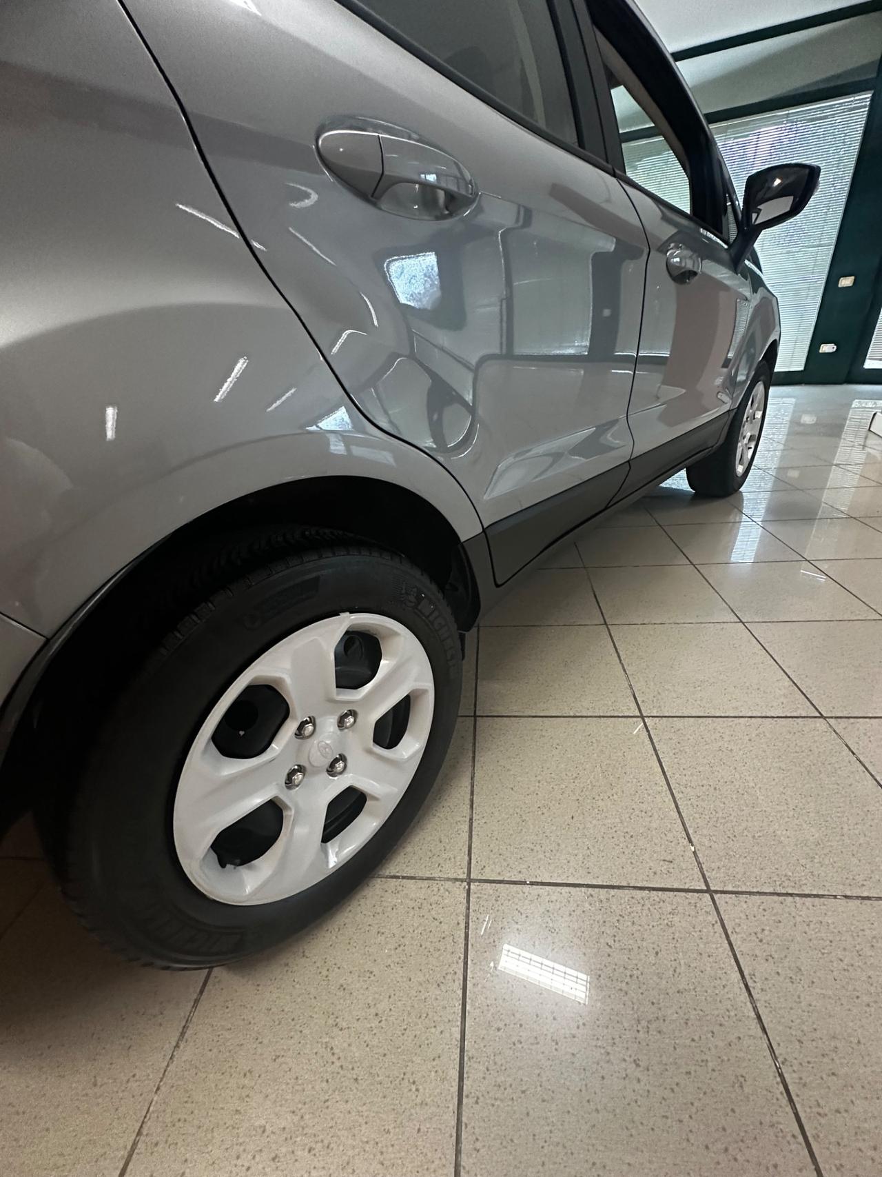 Ford EcoSport 1.0 EcoBoost 100 CV Business