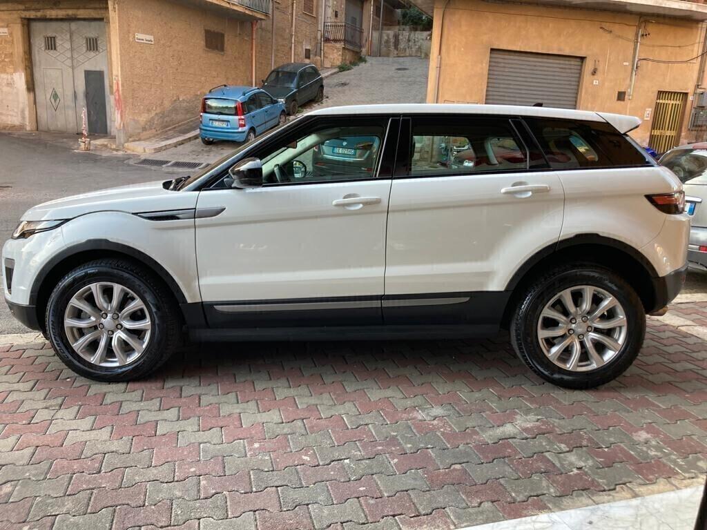Range Rover Evoque 2.0 TD4 150 CV 5p. Business Edition Pure