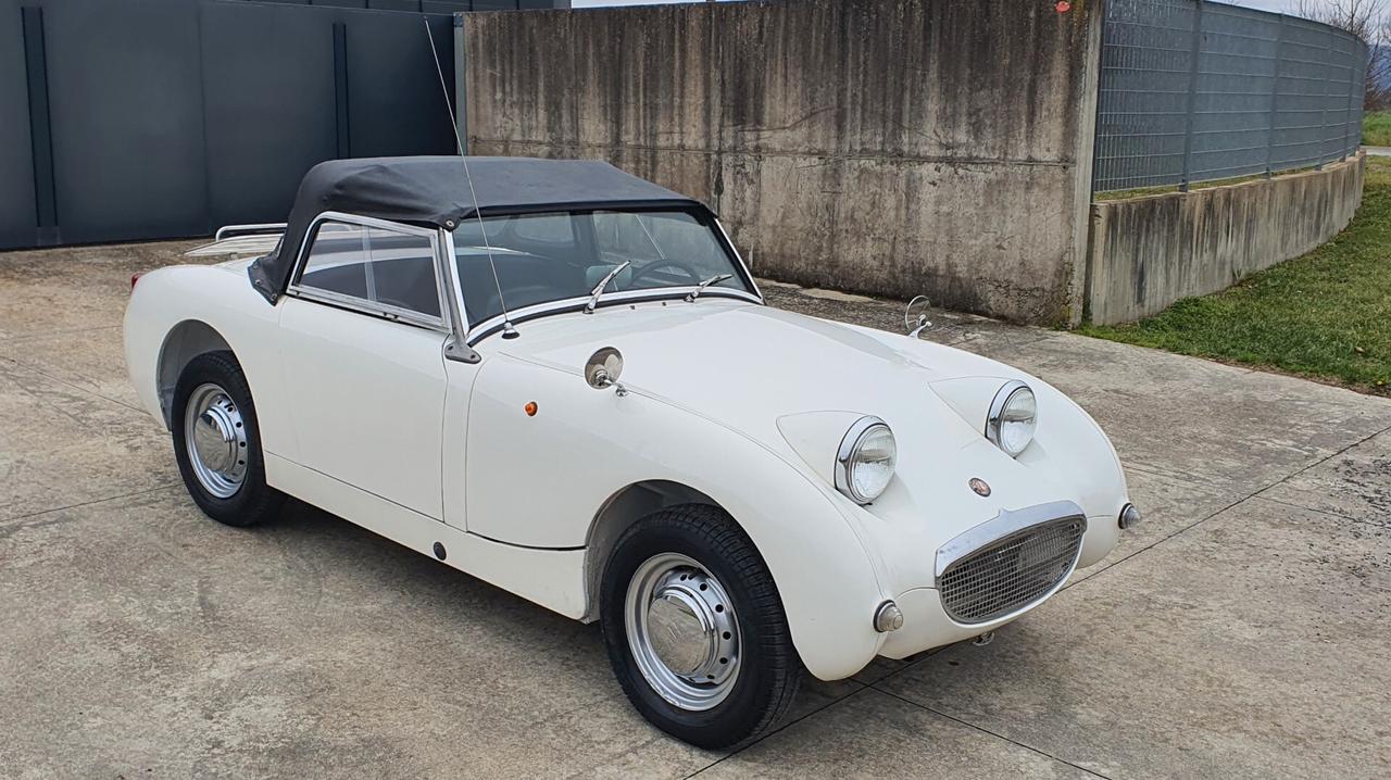 Austin Healey SPRITE FROG