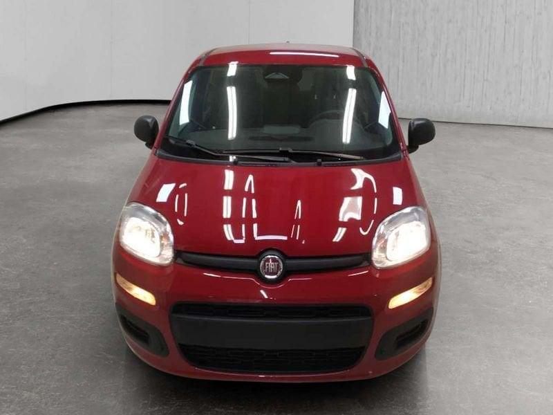 FIAT Pandina 1.0 firefly hybrid Icon s&s 70cv 5p.ti