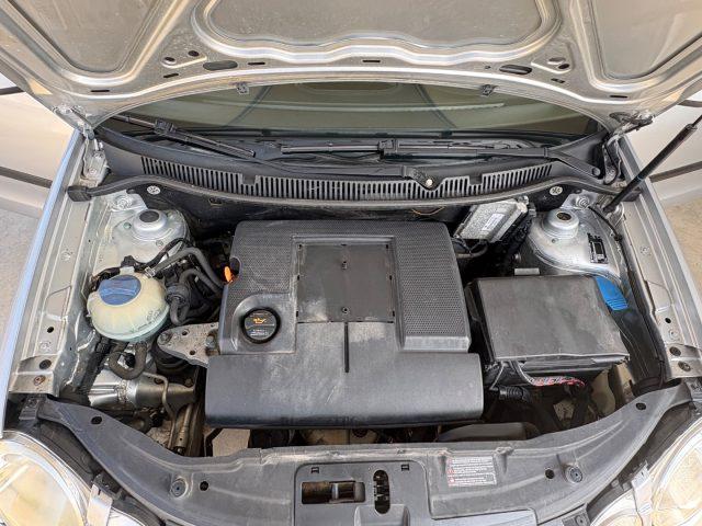 VOLKSWAGEN Polo 1.2 5p. Comfortline 5 PORTE OK PER NEOPATENTATI