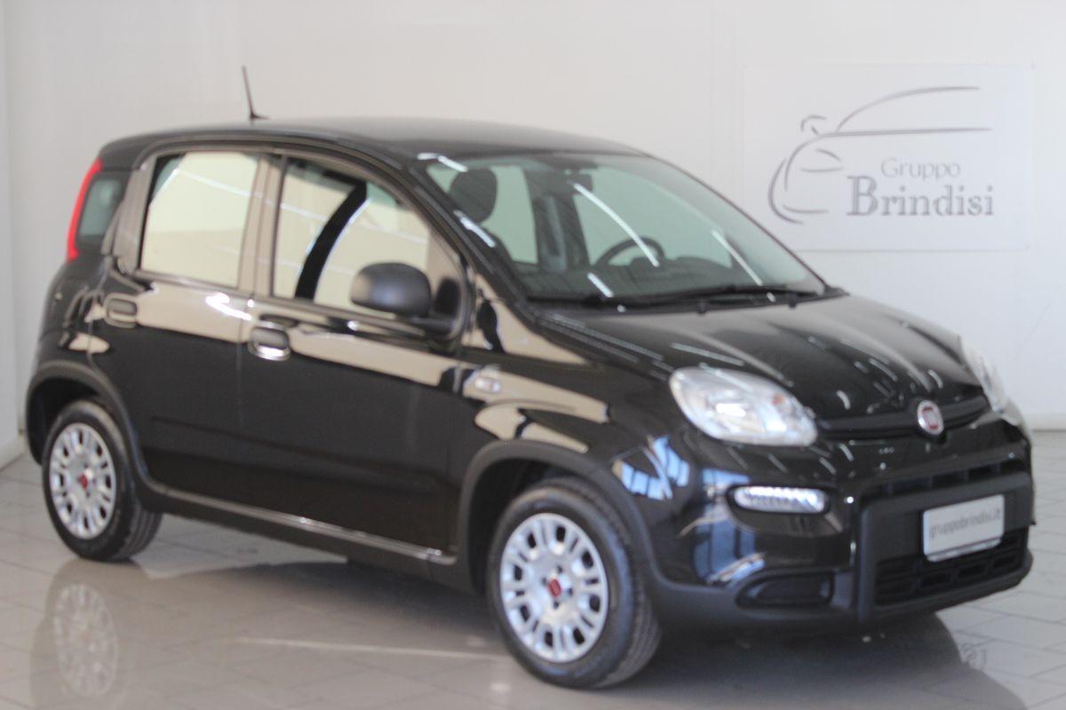 FIAT - Panda - 1.0 FireFly S&S Hybrid Launch Ed.