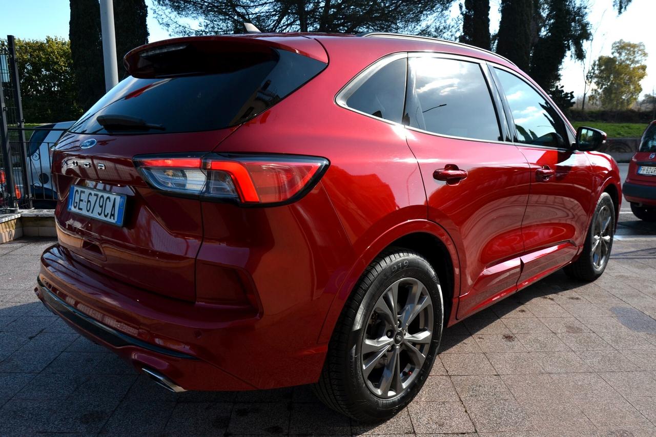 Ford Kuga 1.5 EcoBlue 120 CV 2WD ST-Line X