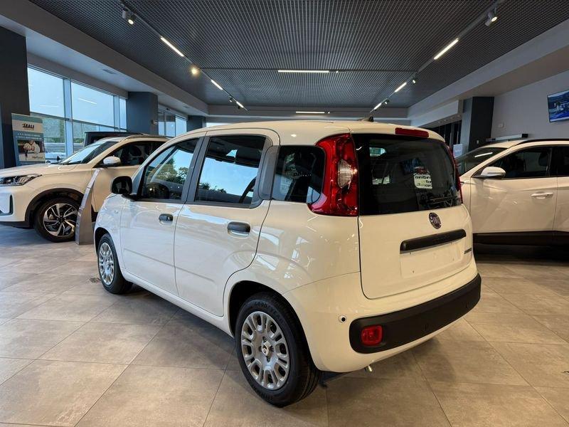 FIAT Pandina Pandina 5p 1.0 FireFly 65cv S&S 6m Hybrid Icon
