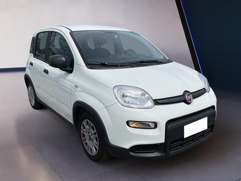 FIAT Panda My23 1.0 70cv Hybrid Panda