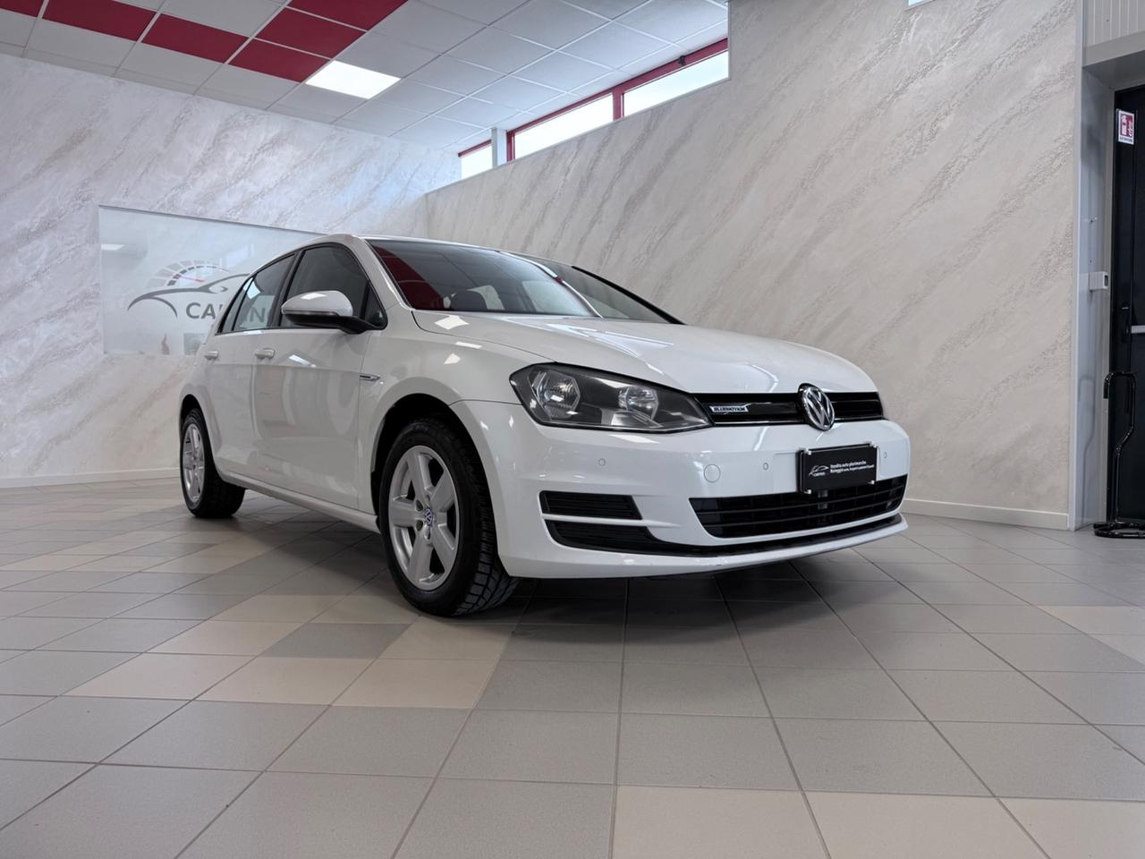 Volkswagen Golf 1.4 TGI 5p. Executive BlueMotion