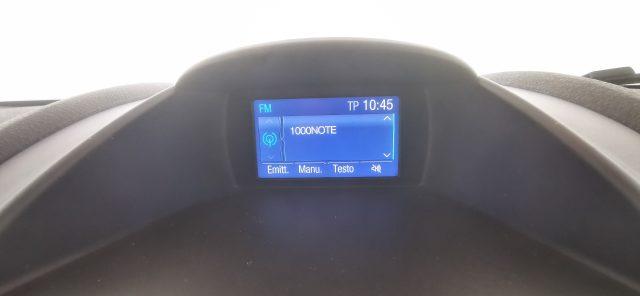 FORD Fiesta 1.5 TDCi 75CV 5 porte Business